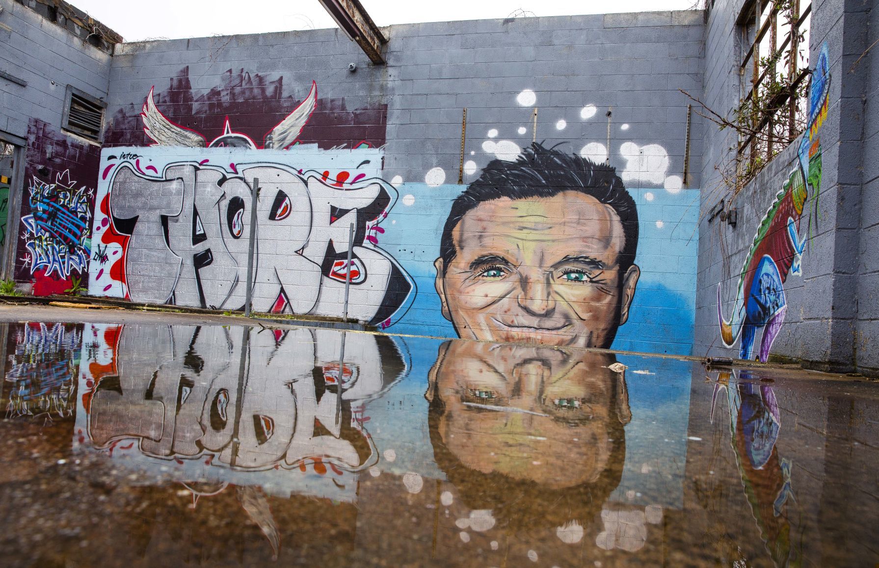 Street graffiti reflection